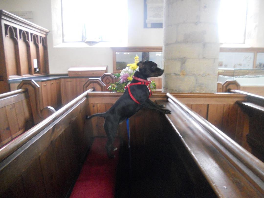 Lizzie, having a spiritual moment on holiday.