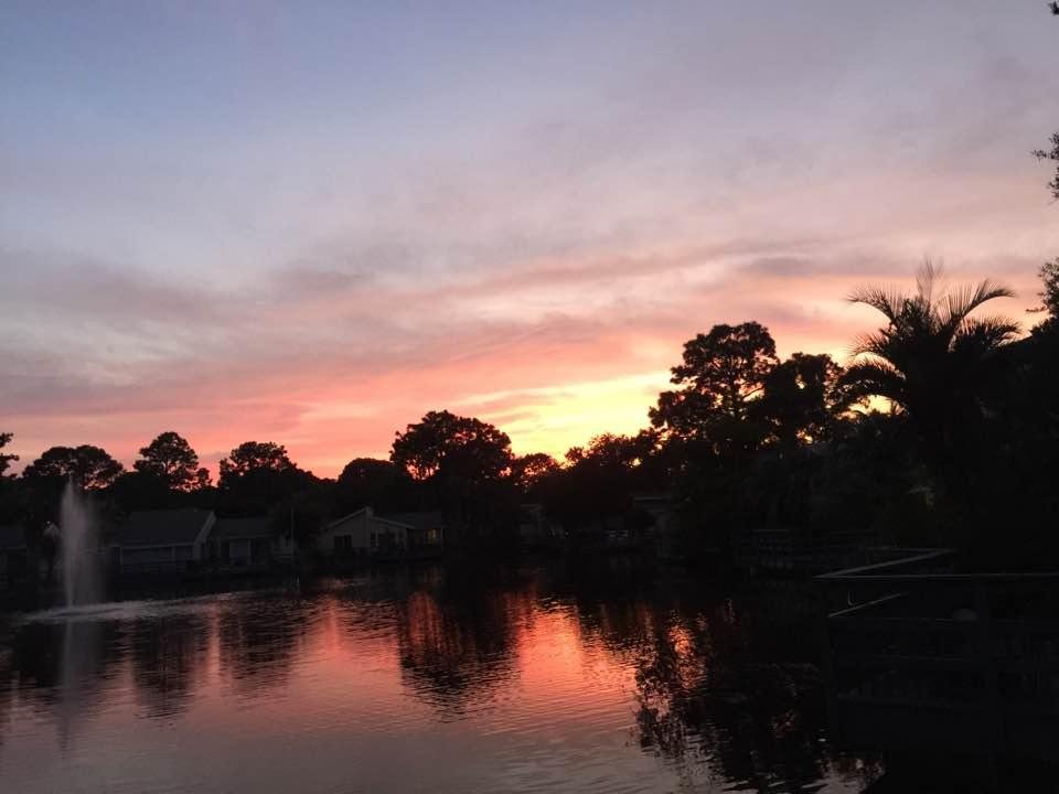 Jim Bocchini's album, Timeline Photos