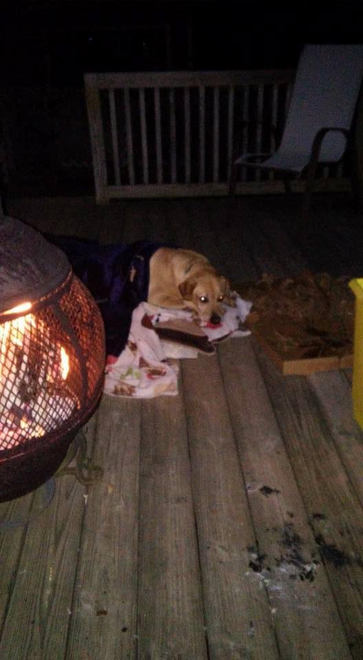 Noah camping!!