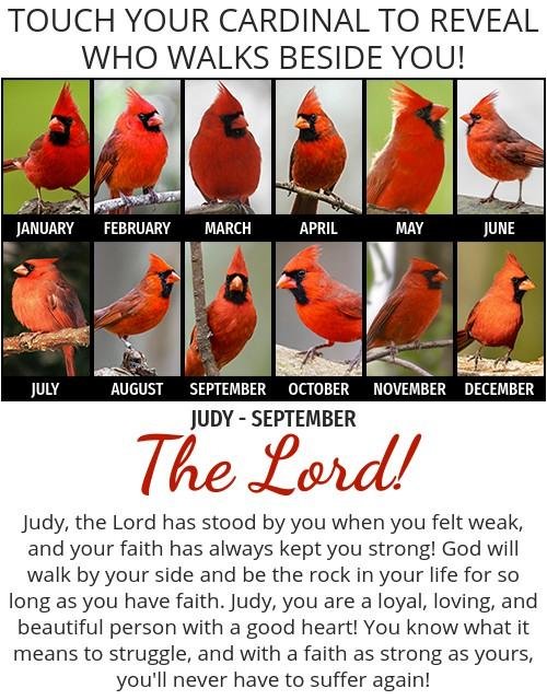 Judith Calcott's album, Timeline photos
