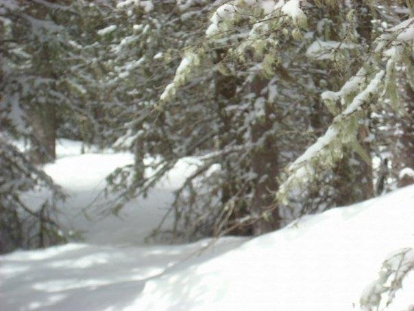 Kelley Brenneman's album, Hiking