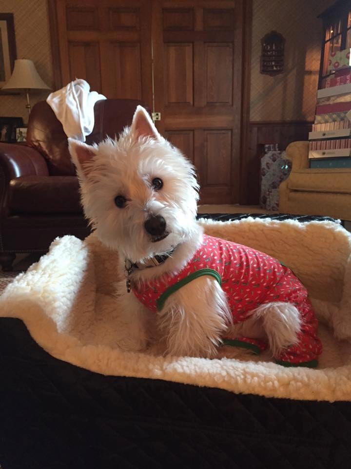 My first grandson's Christmas present! A car seat for traveling!