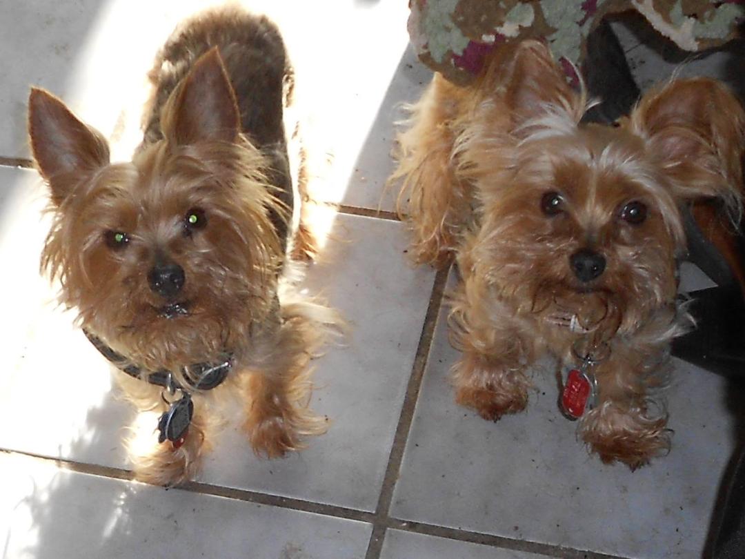 My best buddies!