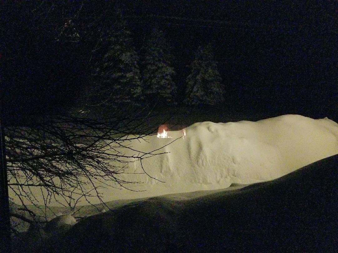 A snowy night with  Lady M and the Princess Kennah at Norwegian Wood