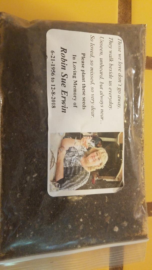 Still missing  Robin. A sweet loving woman!
