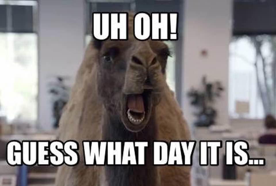 Robert Todd's album, Timeline Photos