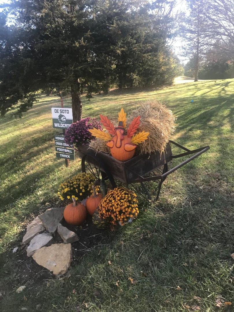 Happy Thanksgiving, found a truly hybrid turkey!