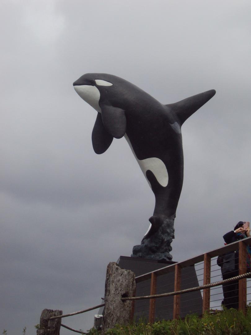 Wyland Orca sculpture at Icy Strait Pt - did a whale watch excursion here but conditions weren't calm enough for picture taking...but we did see whales