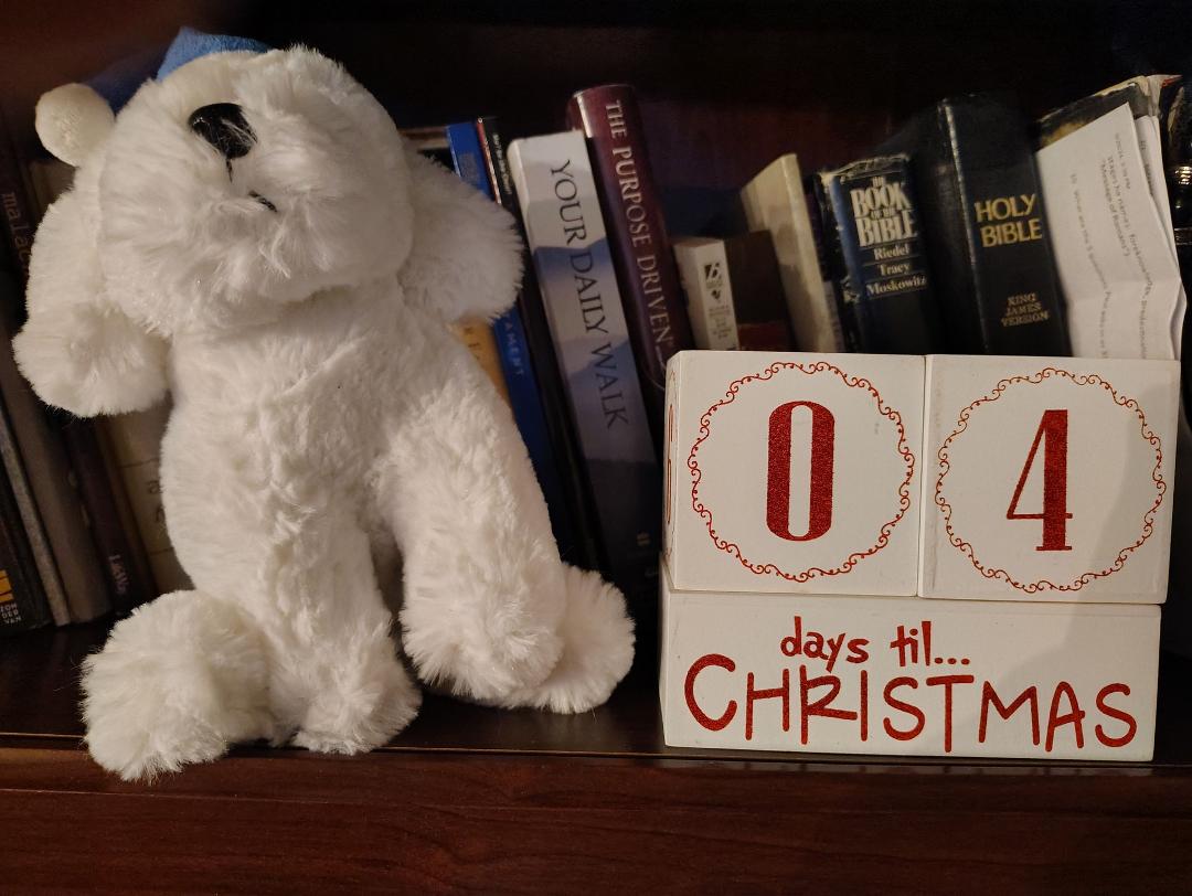 I put this cute countdown Christmas set every year. I think of Blake, Harland, Salina, and Brian as I pass it in my home.
❤️🙏🎄