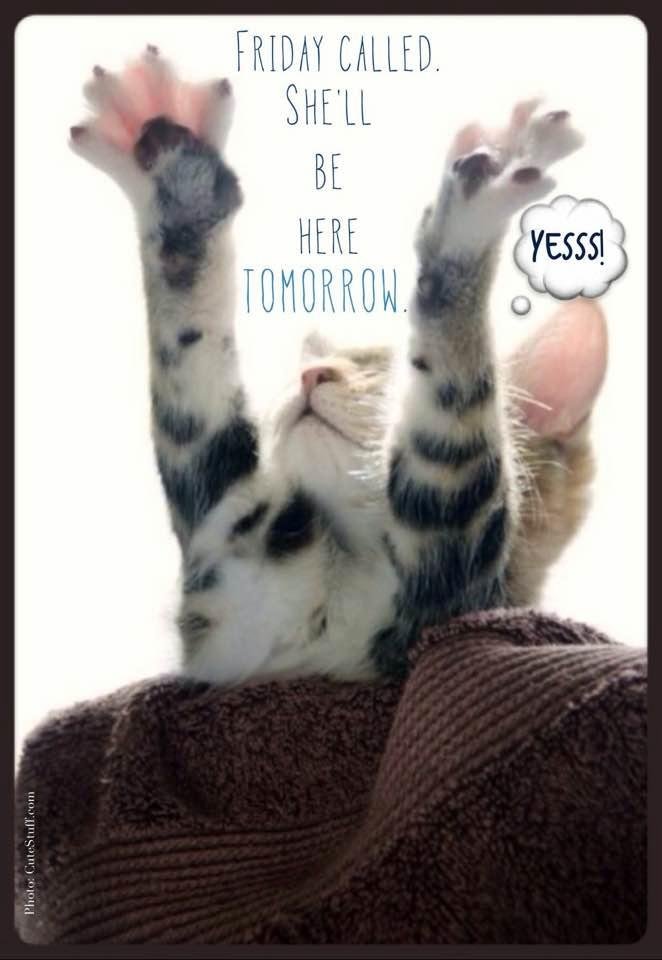 One more day 😜 happy Thursday everyone 😎hoping for a nice day