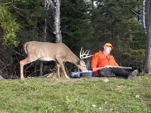 Somewhere near Rochester, New York, Ed set out to bag his buck at 5:30 a.m. By 11:30 a.m., he was exhausted and hungry--and still no buck.
At 12 noon, the mighty hunter Ed guards the remains of his lunch while a