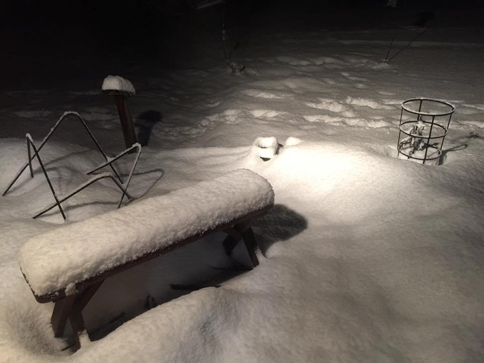 with family in western ny