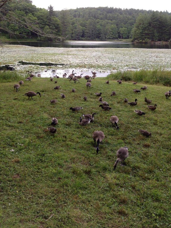Visitors on our walk at Bass Lake