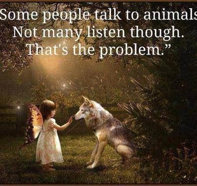 Janice Hall's album, Timeline Photos