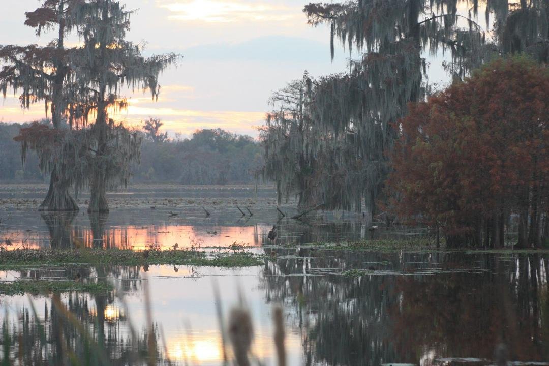 Don Swanson's album, Lafayette, LA