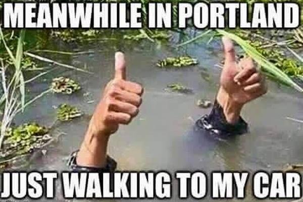 Terry Simonson's album, Timeline Photos