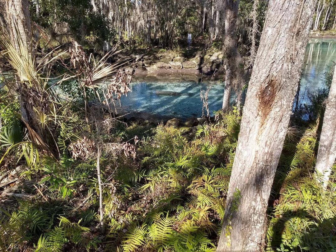 Three Sisters Springs.