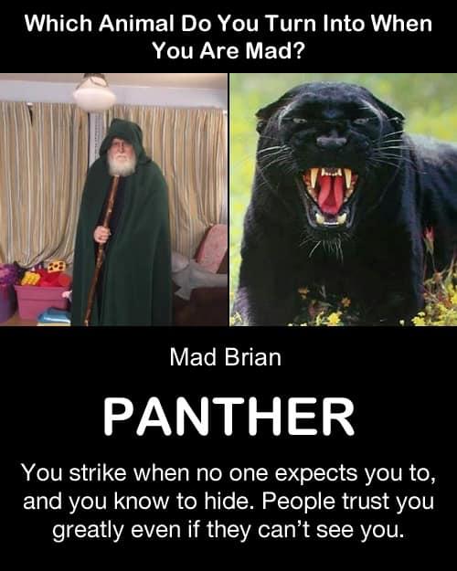 My wife and kids tell me that I am more of a werebear. Big and a bit tough to anger, but when I do…