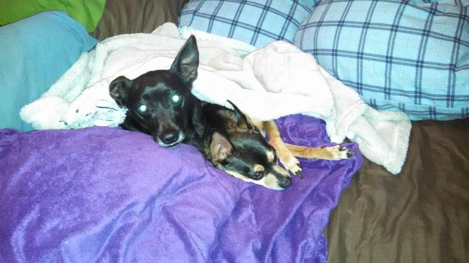 Mini and Dinky about 14 years old