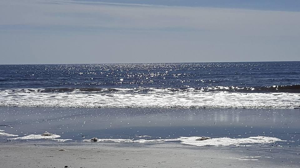 Water may be cold in Myrtle Beach, but it is a beautiful day on the beach!!!!