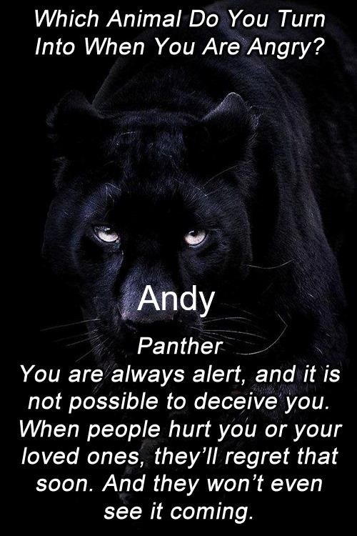 Andy Turner's album, Timeline Photos