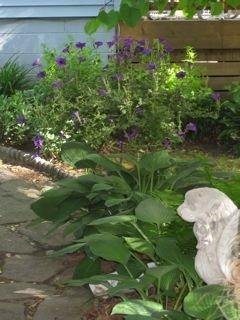 Ellen Lett's album, pictures