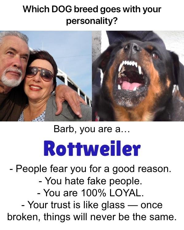 Barbara Dolensky's album, Timeline photos