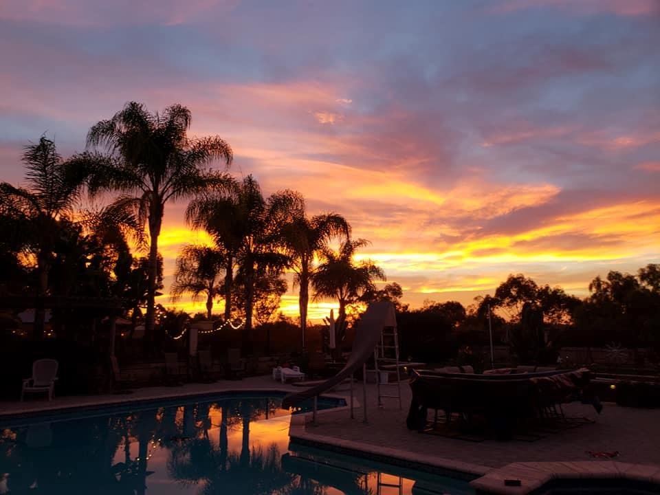 Sharon Robison's album, Mobile Uploads