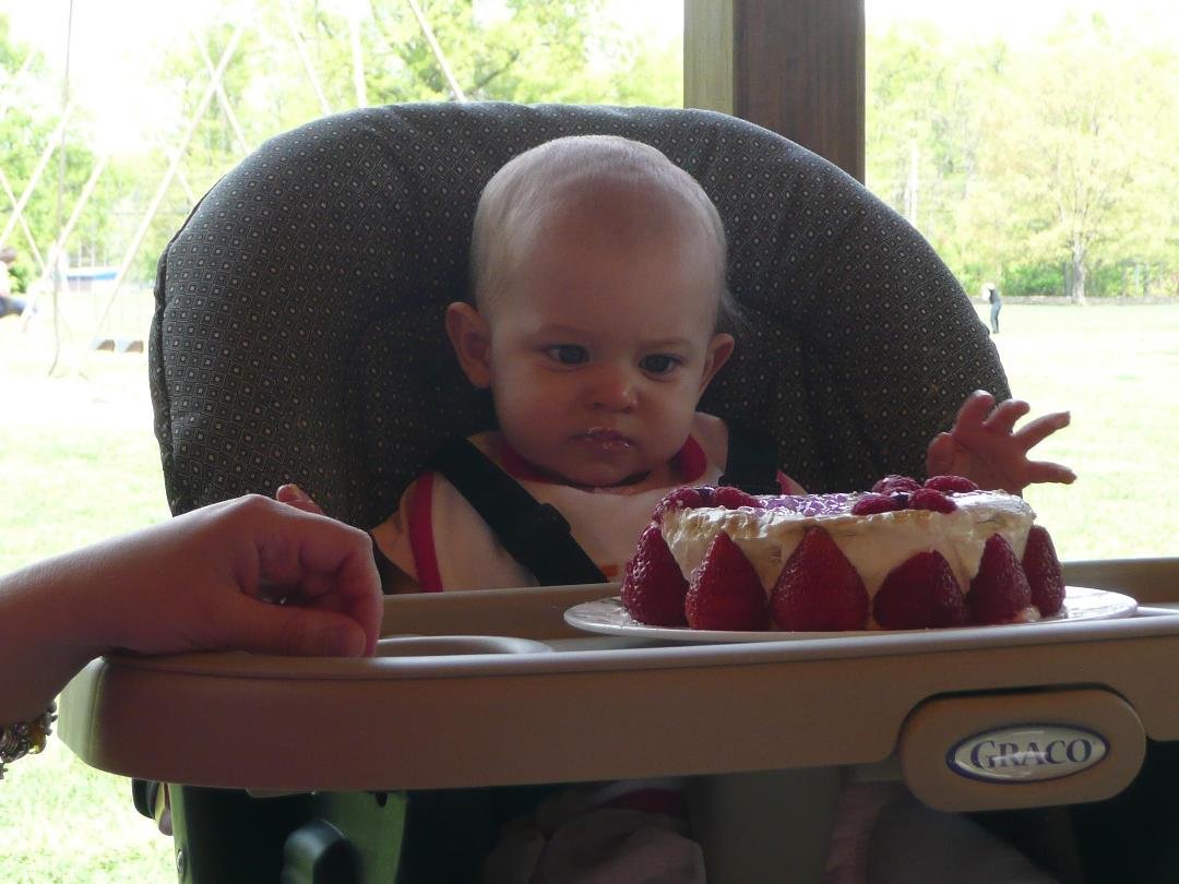 Evie Rose One Year old! at Stanley Park!