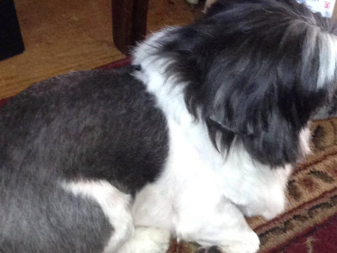Kathie Derring's album, iOS Photos