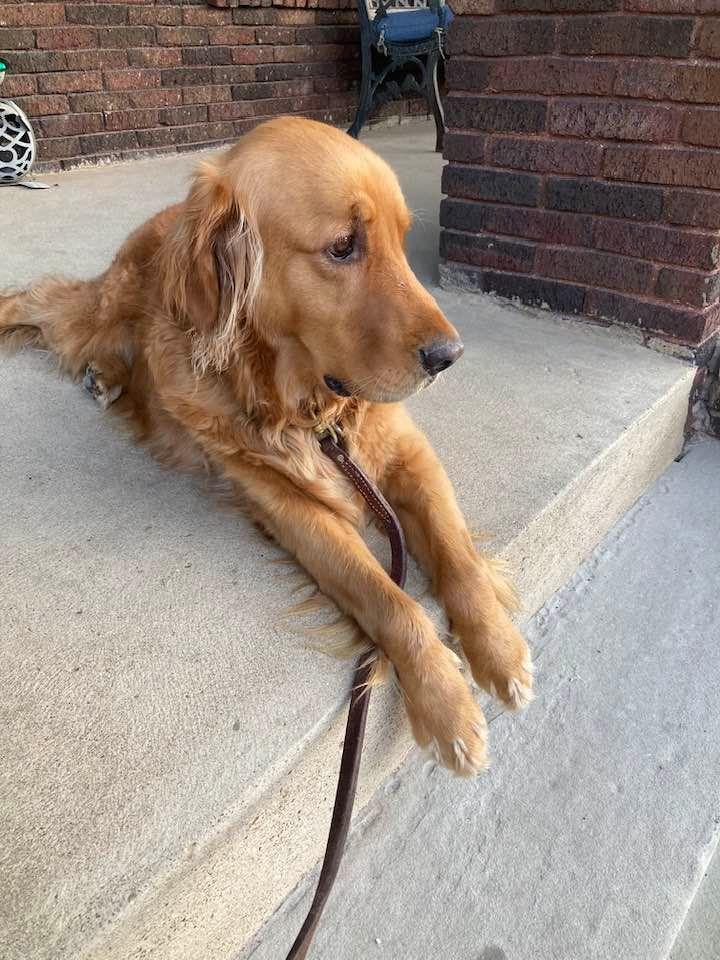 Baker waiting on the porch for grandpa to get home from umpiring