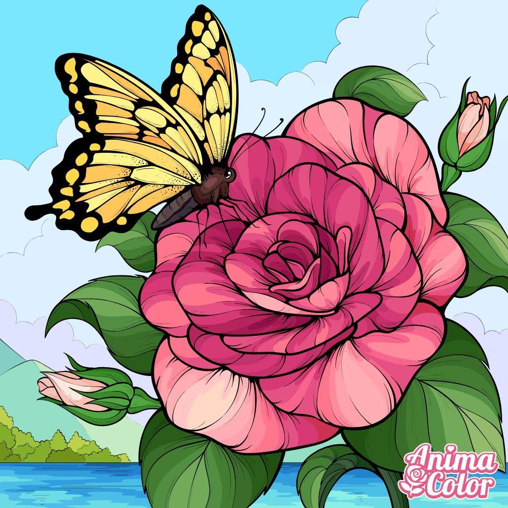 Sandra Parrish Tubb's album, Timeline photos