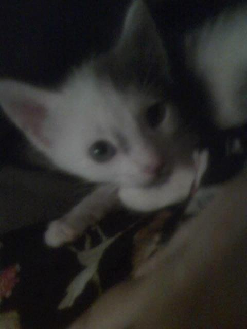 This is Petunia-she lives in Texas