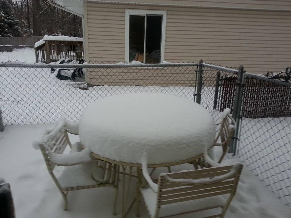 Back yard