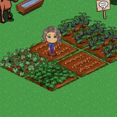 - FarmVille: http://apps.facebook.com/onthefarm/?ref=takePhoto&visitId=100000212241398