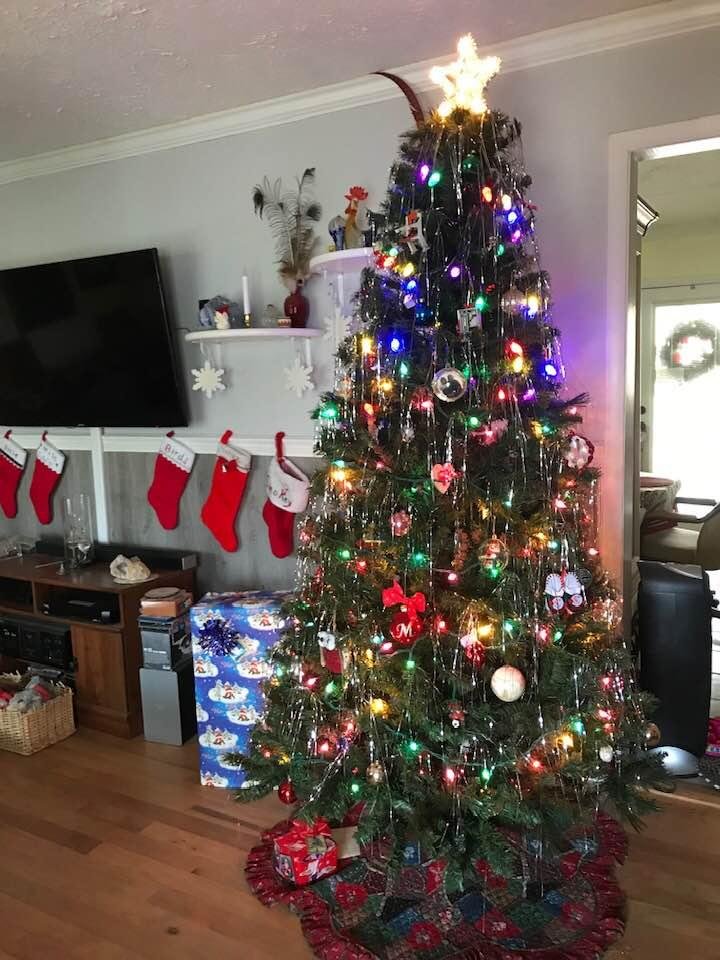 Once again our lovely tree