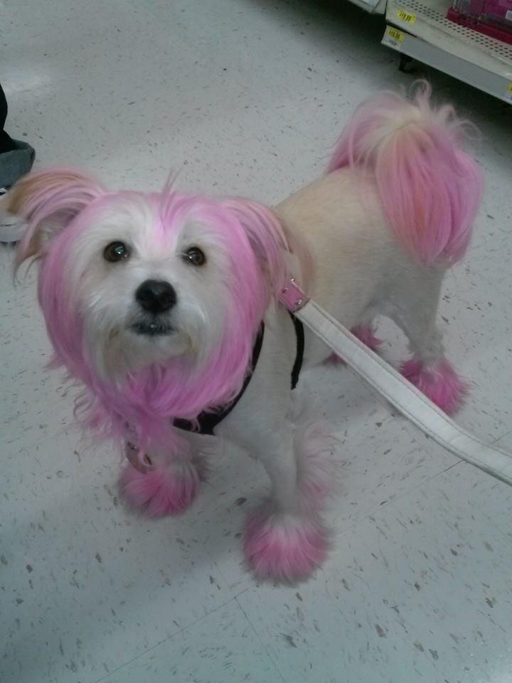 Seen at WalMart this evening. Takes the people-watching value up a few notches : )