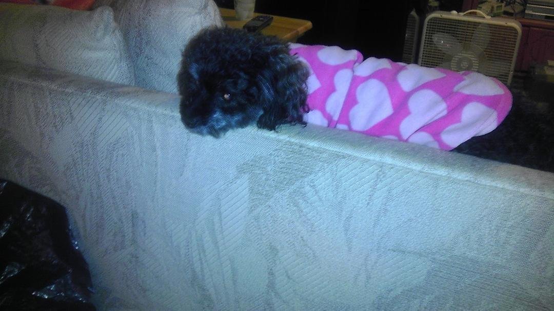 My princess relaxing on this weekend night.love u my pretty girl