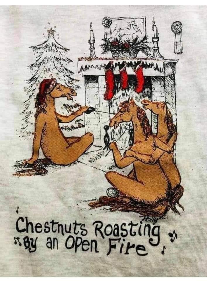 Stole this from horse friend Melanie Michalak. Had to share!