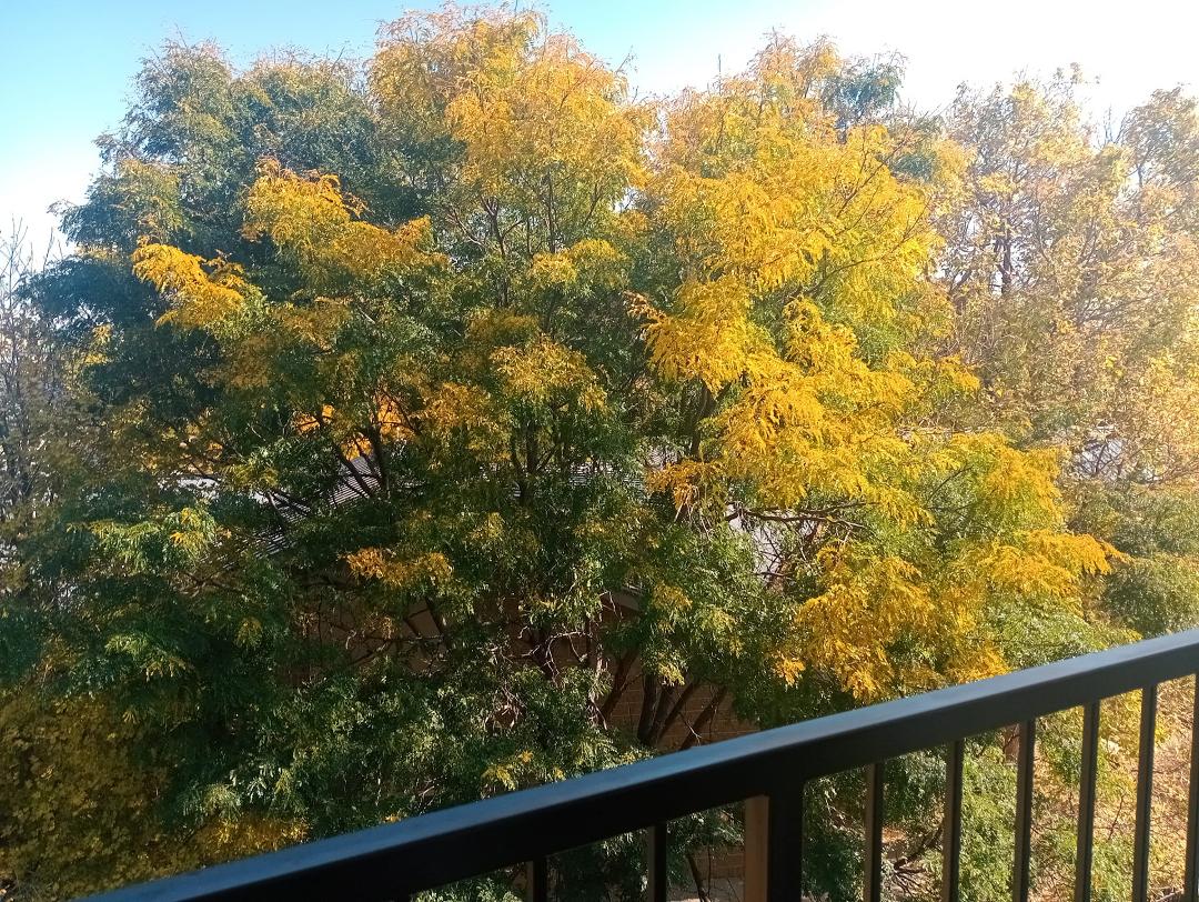 Today Oct 15, 2024 taken from the balcony at my apt. In Fort Collins!!!!