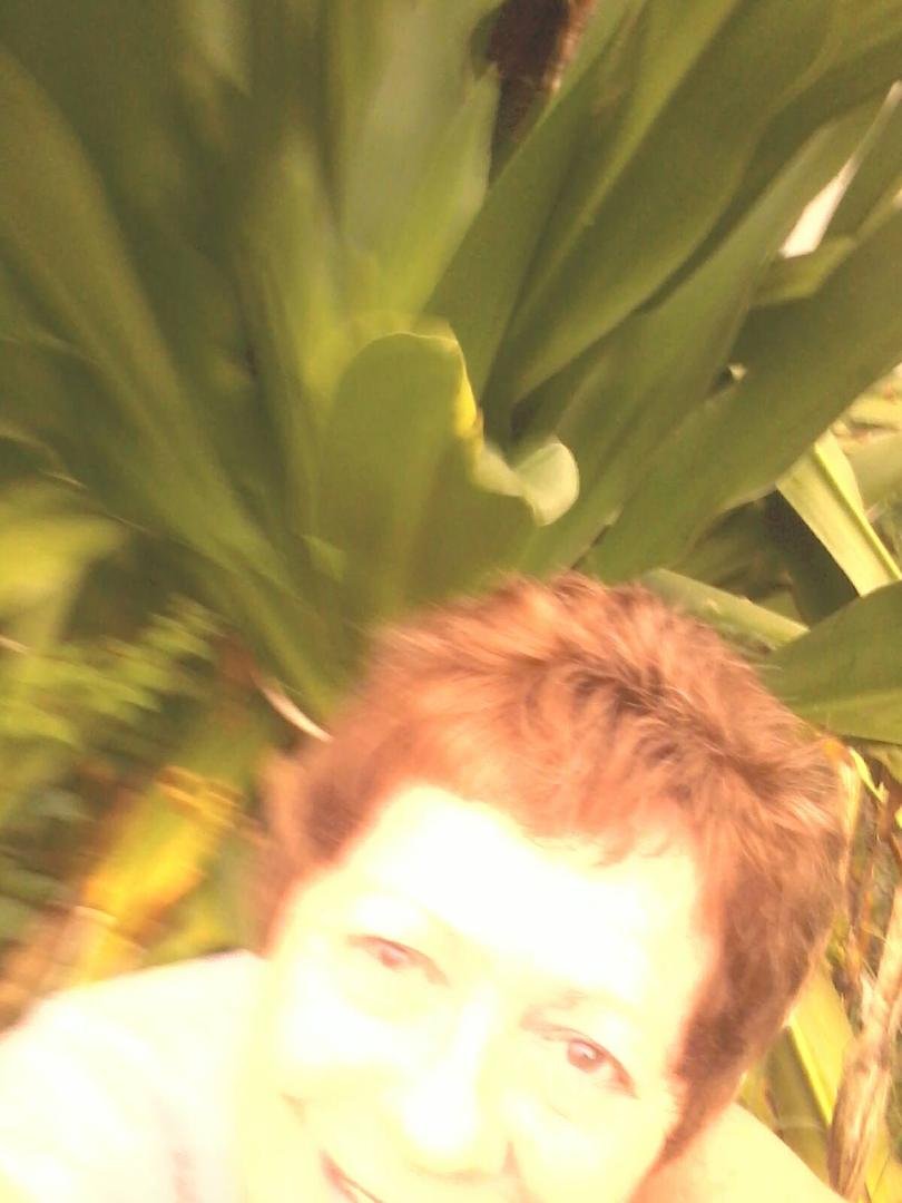 Jerri Olson's album, Mobile Uploads