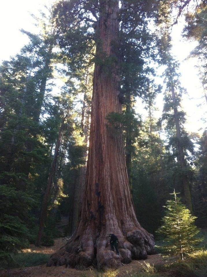 Jay Codromac's album, Mobile Uploads