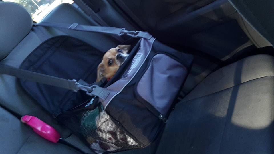 My baby in her new car seat.