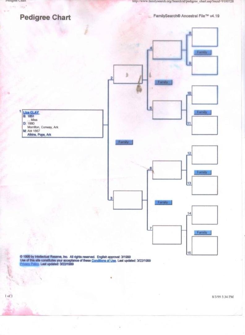 Stephen Johnson's album, Boaz Ancestry