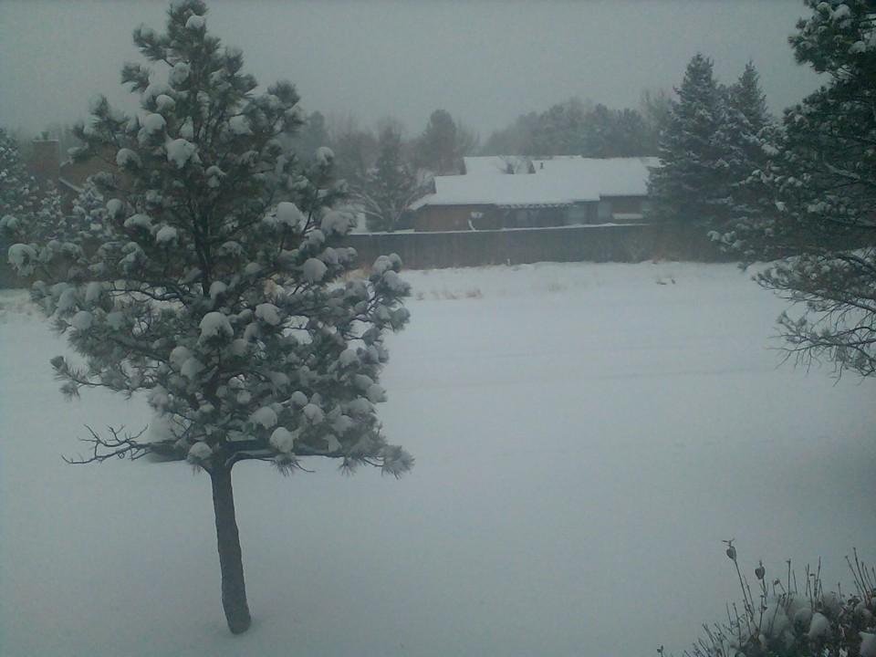 8 Inches and still snowing, another 2 inches expected,