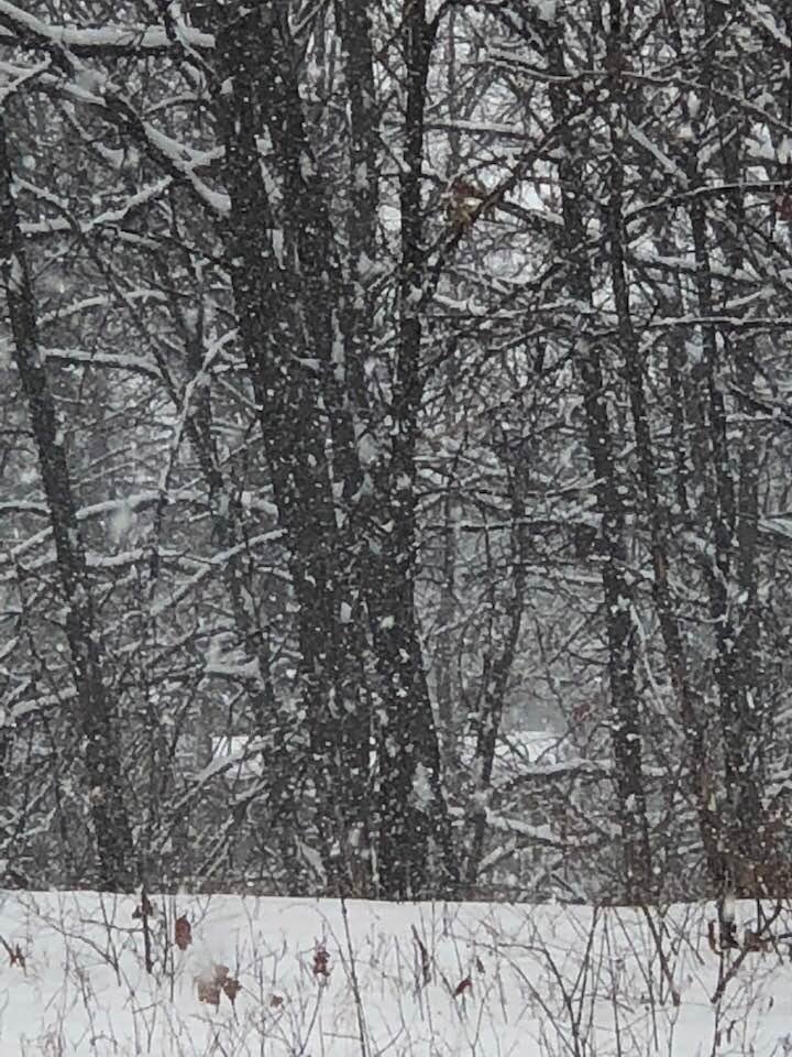 Snow, snow, snowing!