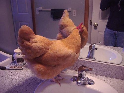 Christine, do you have room on your vanity. These girls need to get freshened up for the day when they grow up, ya know!