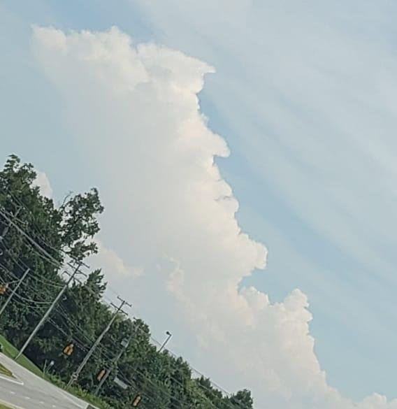 Does anyone else see Trump in this photo?