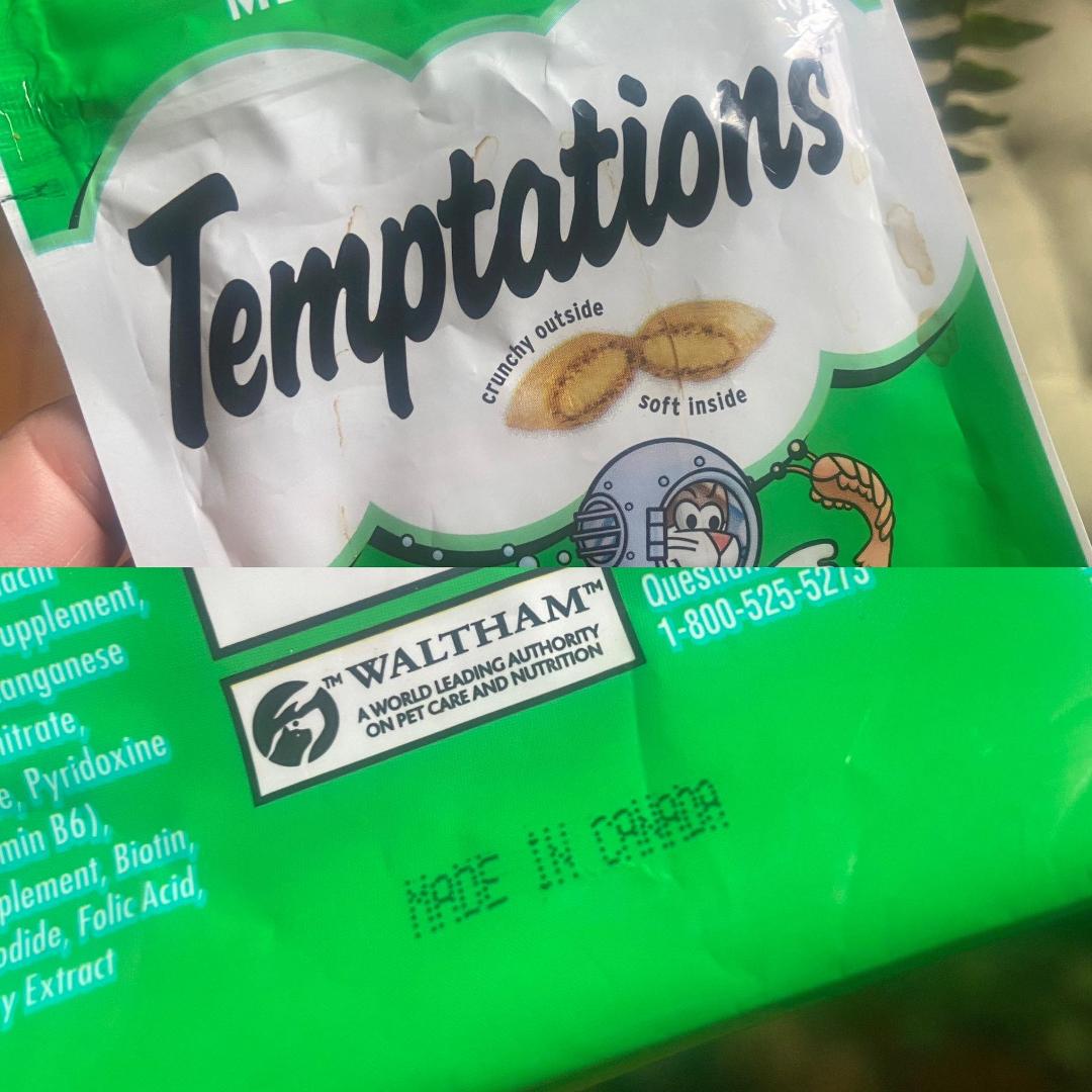 Bad news for my cats.