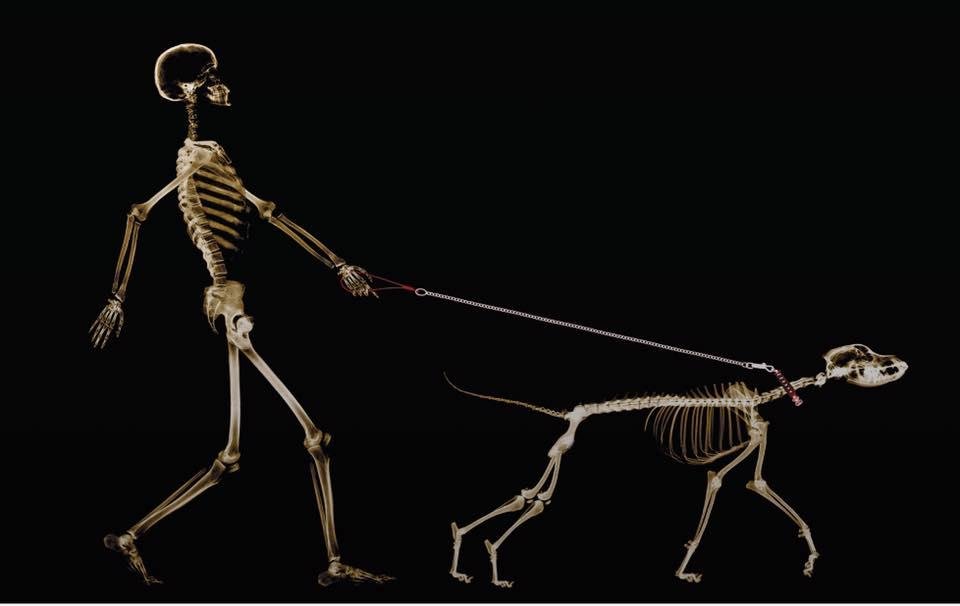Me Walking the dog! Great day outside!
